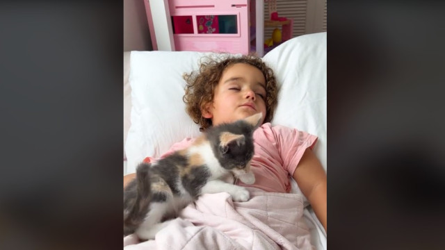 Mãe mostra como gata mudou vida da filha e emociona internet