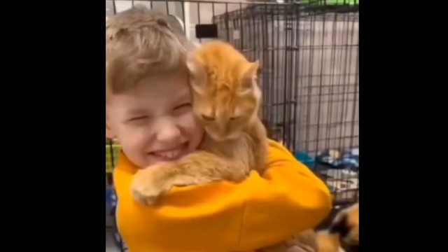 Vídeo. A adoção emocionante de um gato que "escolheu" novo dono