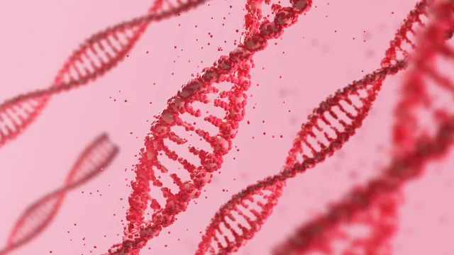 CiÃªncia encontra a maior quantidade de ADN alguma vez descrita na Terra