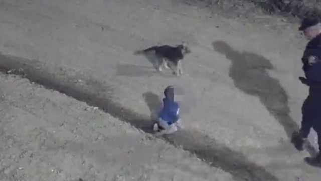 Vídeo. Bebé 'foge' de casa com o cão e é salvo pela polícia na Argentina