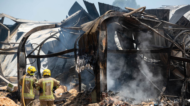 As imagens do incêndio que destruiu uma fábrica de madeiras em Pegões