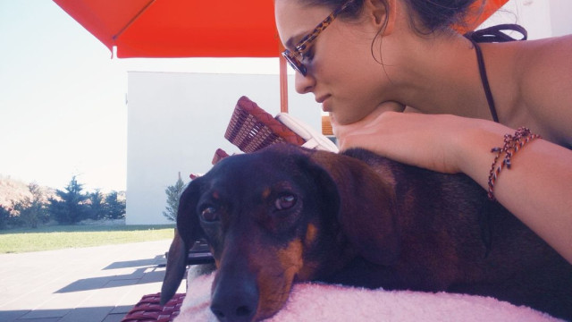 Daniela Melchior partilha fotos com o 'cãopanheiro' e deixa reflexão