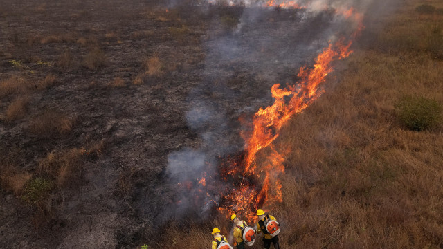 Brasil denuncia mão humana nos incêndios do Pantanal. As imagens