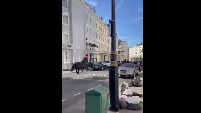 História repete-se. Três cavalos militares correm soltos por Londres
