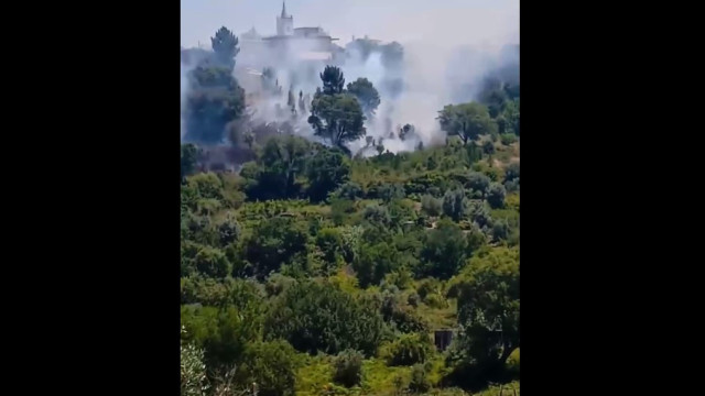 As imagens do incêndio provocado por queda de aeronave em Abrantes
