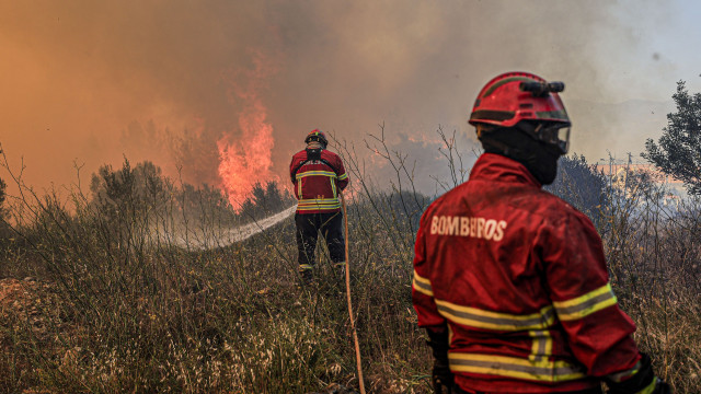 As imagens do incêndio em Alcabideche (com mais de 400 operacionais)