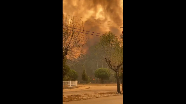 Vídeos mostram extensão do incêndio em Albergaria-a-Velha 