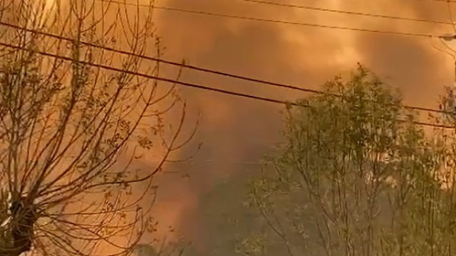 Vídeo mostra extensão do incêndio em Albergaria-a-Velha 