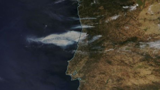 Imagens da NASA mostram nuvem de fumo dos incêndios em Portugal