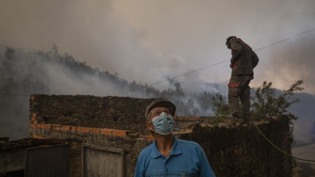 Desespero e destruição. As imagens do fogo em Albergaria-a-Velha