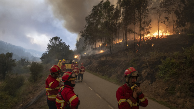 Mais de 100 concelhos mantêm-se hoje em perigo máximo de incêndio rural