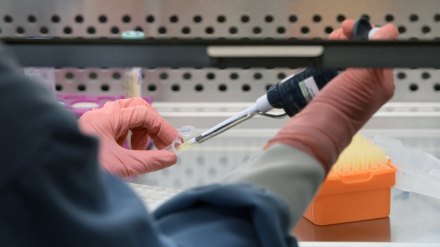 Brasil elimina transmissão do HIV da mãe para o bebê e reduz taxa de mortalidade, diz ministério