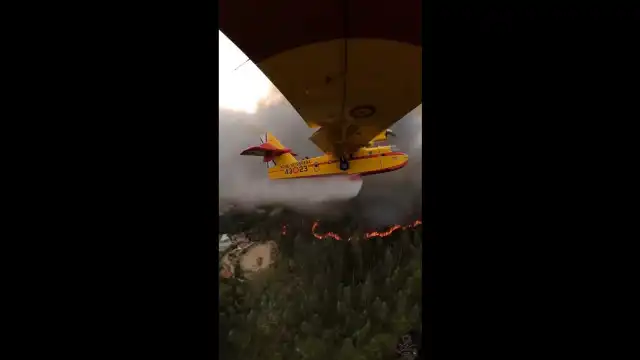 Canadair espanhóis registam imagens do incêndio em Sever do Vouga. Veja