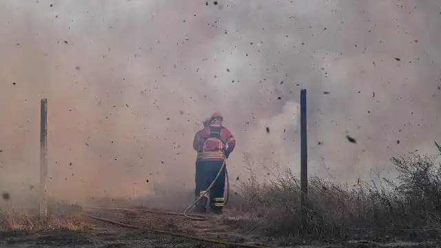 AO MINUTO: "Incêndios estão bastante ativos"; Há 150 vítimas e 74 detidos