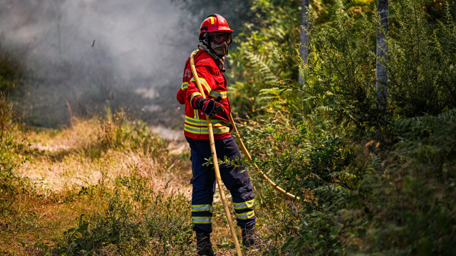 Fogo de Vila Pouca de Aguiar aproxima-se da aldeia da Samardã em Vila Real