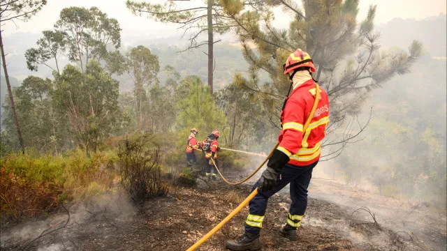 Oito distritos com dezenas de concelhos em perigo mÃ¡ximo de incÃªndio