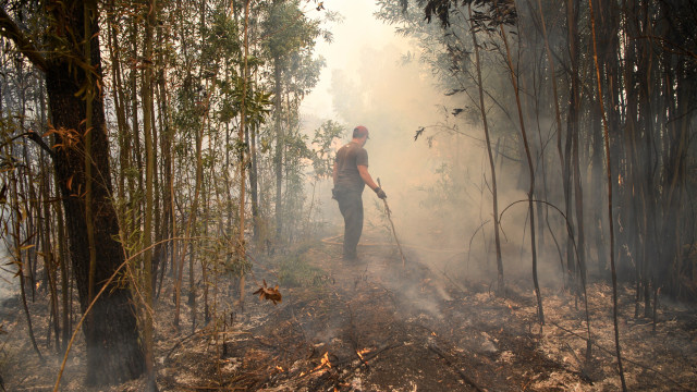 Em Vila Pouca de Aguiar fogos estão 