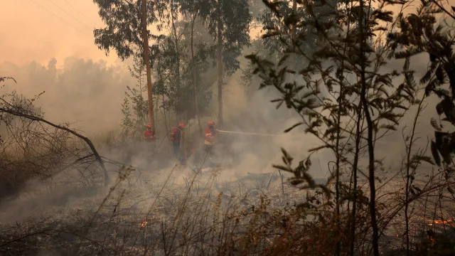 
                    Fogo em Barcelos com duas frentes dominadas e uma a ceder aos meios
                