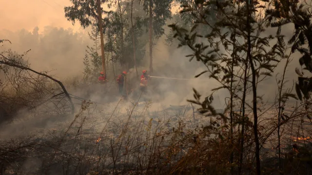 
                    Incêndios: Retomada circulação na Autoestrada A1 e na Linha do Norte
                