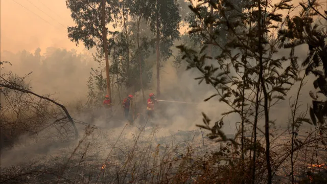 Fogo florestal em ValpaÃ§os mobiliza mais de 400 operacionais