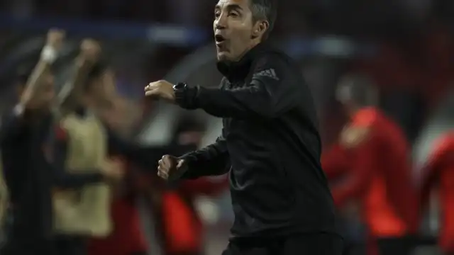 Euforia total. Bruno Lage reagiu assim ao triunfo do Benfica na Champions