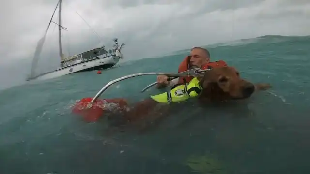 Vídeo mostra resgate de homem e cão de um veleiro durante furacão Helene