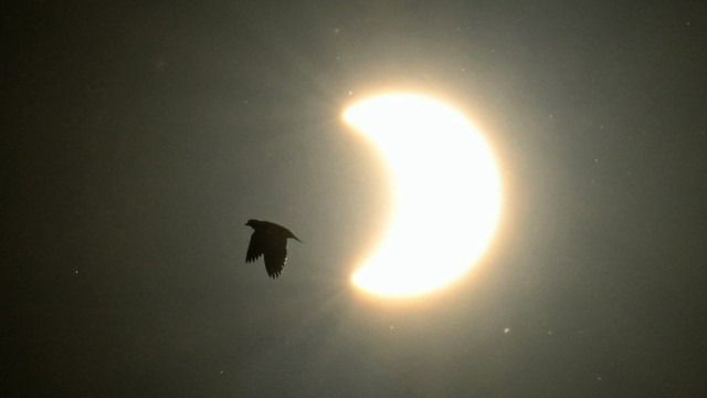 Há 27 anos, em 1999, houve o último eclipse solar total do milénio