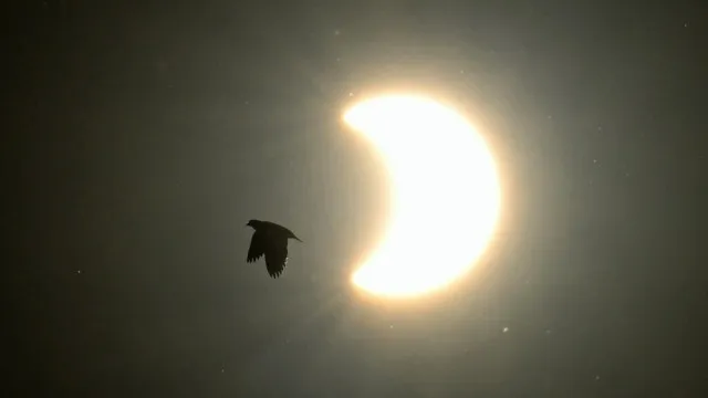 
                    Há 27 anos, em 1999, houve o último eclipse solar total do milénio
                