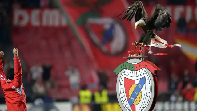 Benfica é notícia no estrangeiro: "MP quer excluí-lo das competições"