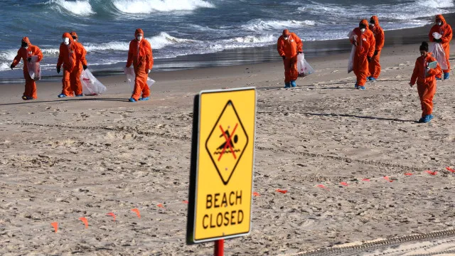 Austrália encerra várias praias em Sydney devido ao risco de ataques de tubarões