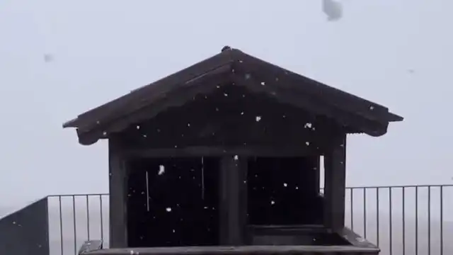 Neve já chegou à Serra da Estrela. Veja o vídeo