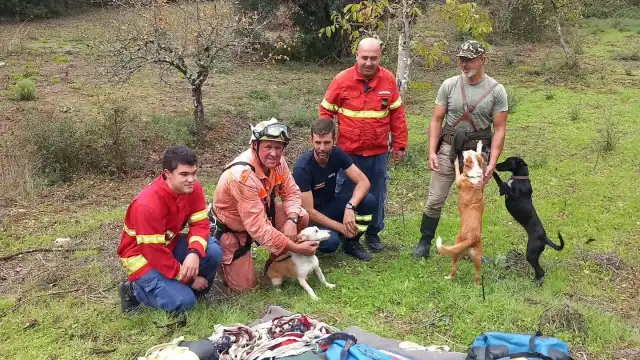 "Brava". Fany caiu num poço com 10 metros, mas bombeiros salvaram-na