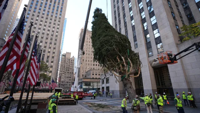 "X-mas time!" Árvore de Natal mais famosa de Nova Iorque já está de pé