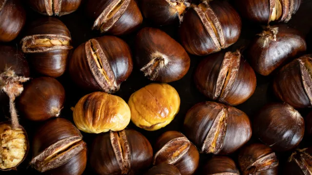 
                    Vila Pouca de Aguiar aposta em castanhas e cogumelos para visitantes
                