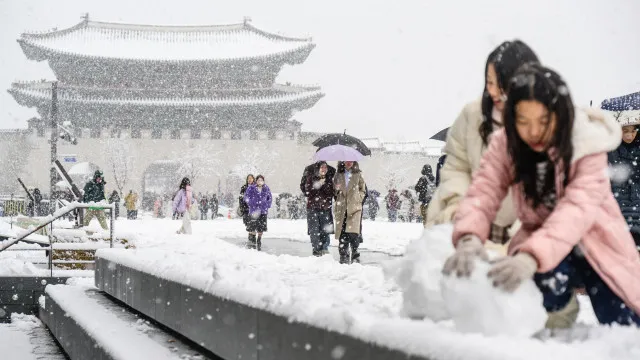 Seul despertou 'pintada de branco'. Não caía tanta neve desde 1972