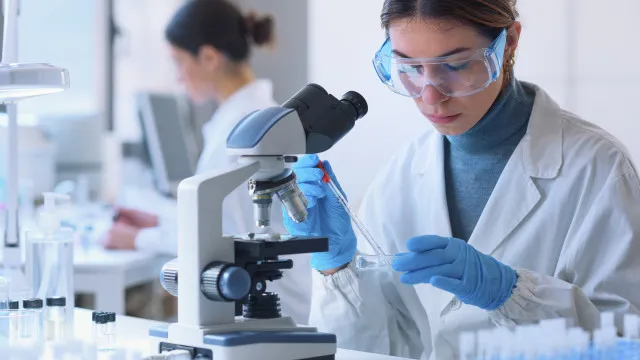 
                    Estudo: Investimento em prevenção em saúde pode estar subestimado
                