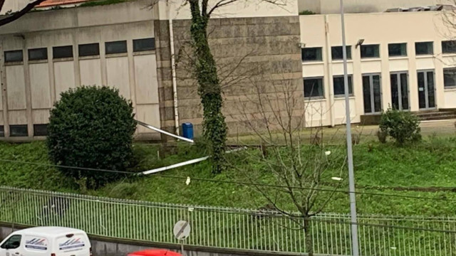 Escola Gonçalves Zarco em Matosinhos evacuada devido a queda de árvore