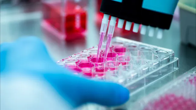 Novo laboratório de 2,1 milhões de euros no Porto inova em diagnósticos
