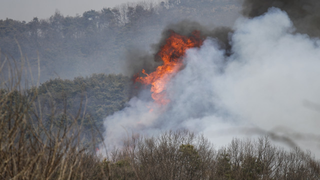 Viu fumo ou fogo? Eis o que fazer em caso de incêndio florestal