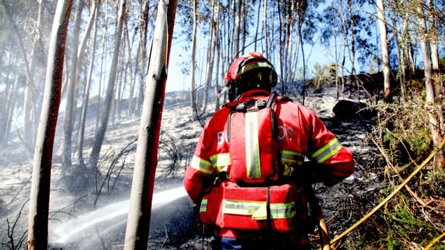 Mais de 20 concelhos de quatro distritos em perigo máximo de incêndio