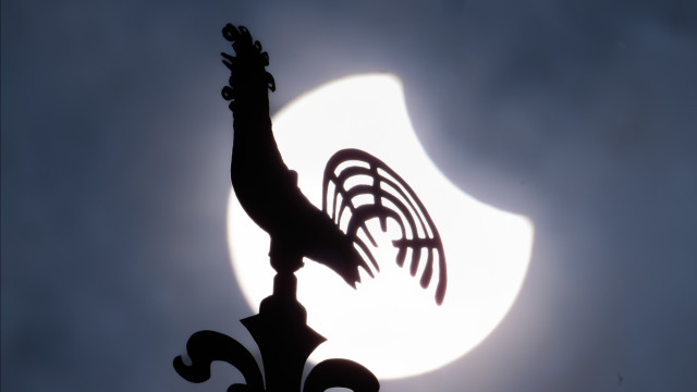 Como reagem os animais a um eclipse? Bragança vai estudar