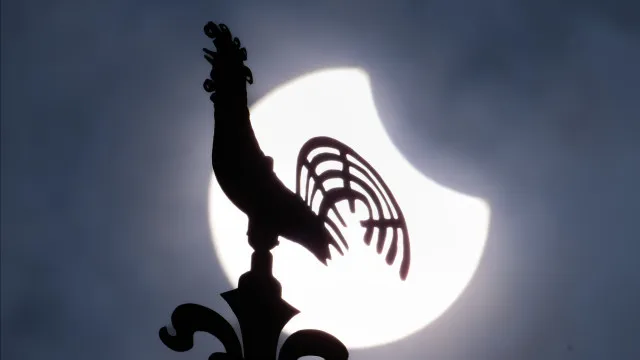 
                    Como reagem os animais a um eclipse? Bragança vai estudar
                