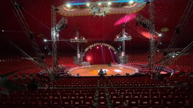 Santuário no Alentejo vai ser nova casa do último elefante de circo em Portugal