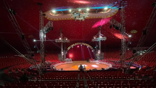 Santuário no Alentejo vai ser nova casa do último elefante de circo em Portugal