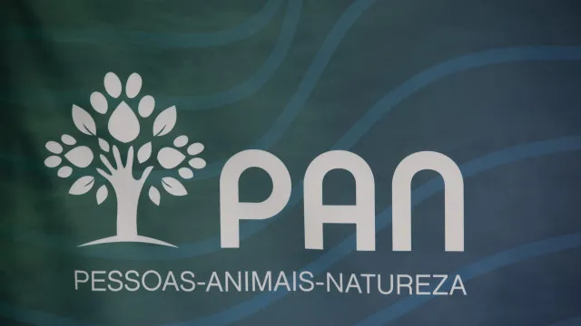 
                    PAN pede esclarecimentos sobre abate de milhares de árvores em Sesimbra
                