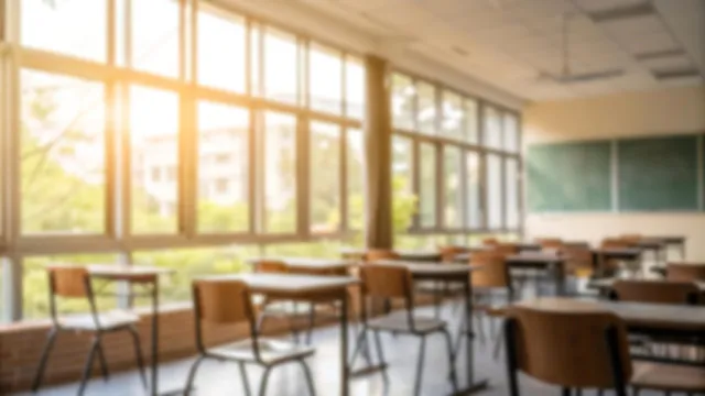 
                    Criança invisual de 6 anos agredida por sete colegas em escola de Setúbal
                