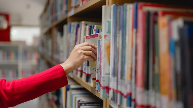 
                    Professores exigem ação do Ministério da Educação perante desigualdades
                