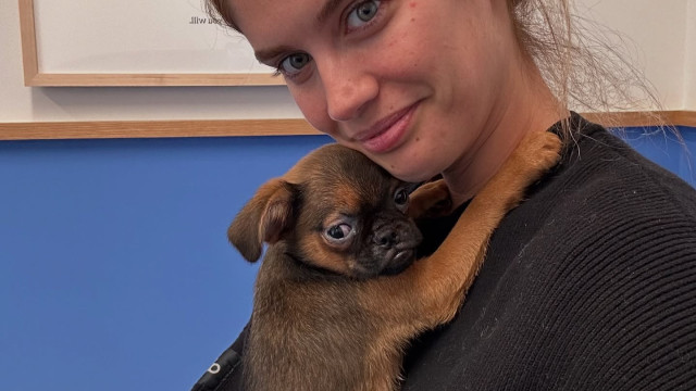 Sara Sampaio desesperada à procura do cão.
