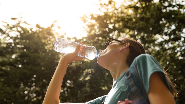 Vale sempre repetir: Eis as medidas da DGS para se proteger do calor
