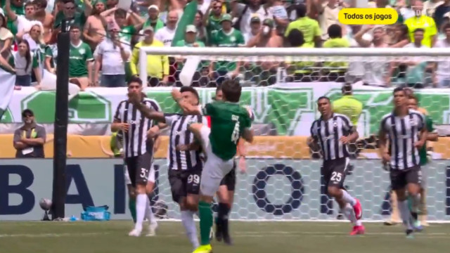 Este (duro) choque interrompeu momentaneamente o Palmeiras-Botafogo